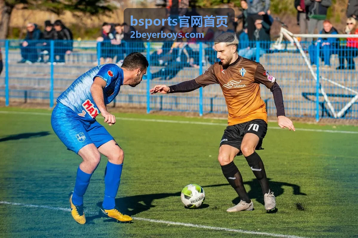 bsports官网首页会员团队协作席位配置配图